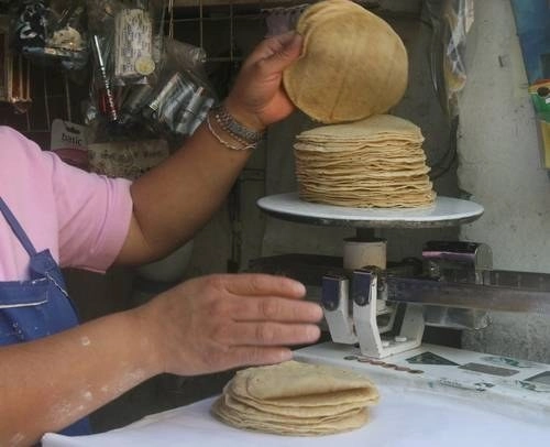 Punto de venta de tortillas en imagen de archivo. Foto Guillermo Sologuren 