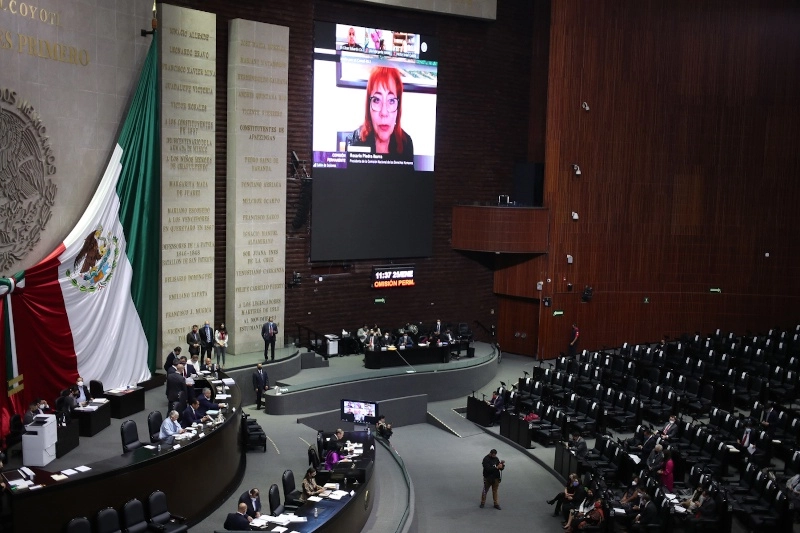 Informe vía remota de la presidenta de la Comisión de Derechos Humanos Rosario Piedra, ante la Comisión Permanente en San Lázaro, ayer. Foto José Antonio López