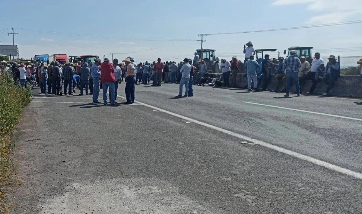 Agricultores de Guanajuato bloquean carreteras para exigir mejores precios de comercialización del maíz y el sorgo. Foto 