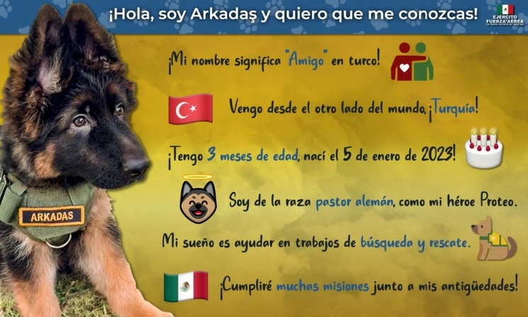 'Arkadas' fue formalmente entregado al Ejército por embajador de Turquía en México, Ilham Kemal Tuğ, en una ceremonia efectuada en explanada Damián Carmona, del Campo Militar número 1 “General Álvaro Obregón”, en la Ciudad de México. Imagen tomada del Twitter @SEDENAmx