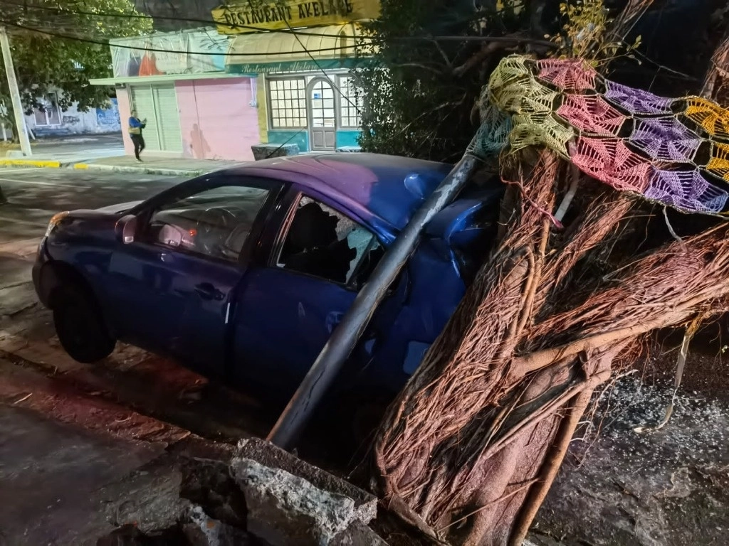 En la zona conurbada Veracruz-Boca del Río, donde el viento derribó un árbol de tres metros de alto, que cayó sobre un vehículo particular. Foto Eirinet Gómez
