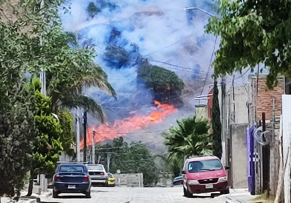 El fuego comenzó a media tarde en el paraje El Colli, ubicado en el municipio de Zapopan. Las autoridades desplegaron a 83 brigadistas para controlarlo e instalaron un puesto de mando. Foto ‘La Jornada’