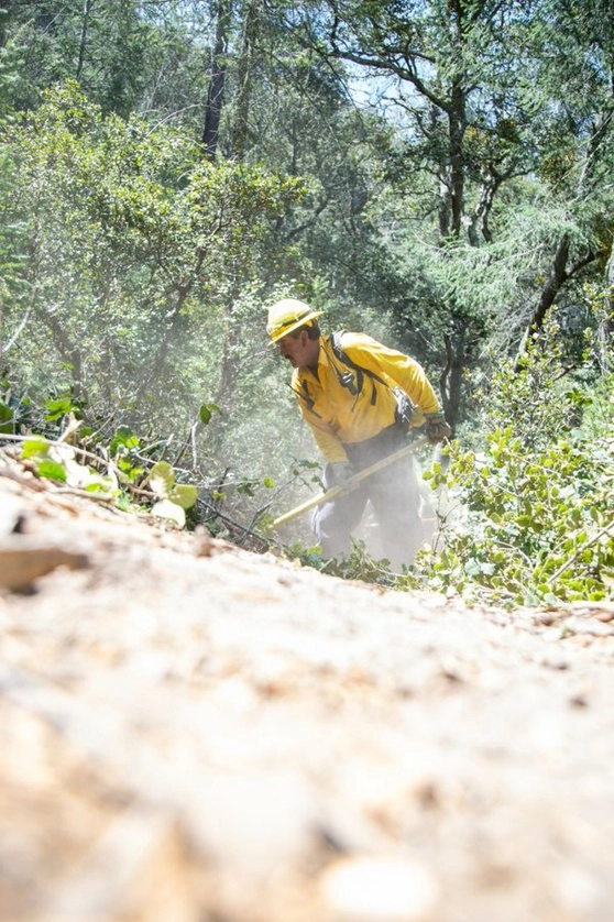 Un brigadista trabaja para apagar el siniestro en Arteaga. fOTO @CONAFOR/ Archivo. 
