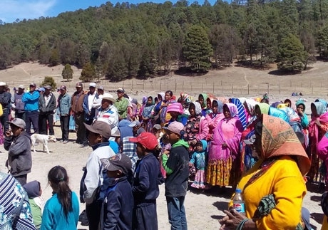 En audiencia virtual con la CIDH, autoridades de la comunidad rarámuri de Choréachi (Pino Gordo) expusieron que aún no tienen reconocimiento legal sobre la propiedad de su territorio y que viven en riesgo ante grupos que buscan el control de la zona. Foto Comisión Estatal para los Pueblos Indígenas