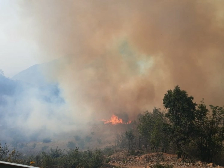 Brigadistas de Conafor combaten incendio forestal en Santos Reyes Tepejillo. Foto Twitter @CEPCO_GobOax