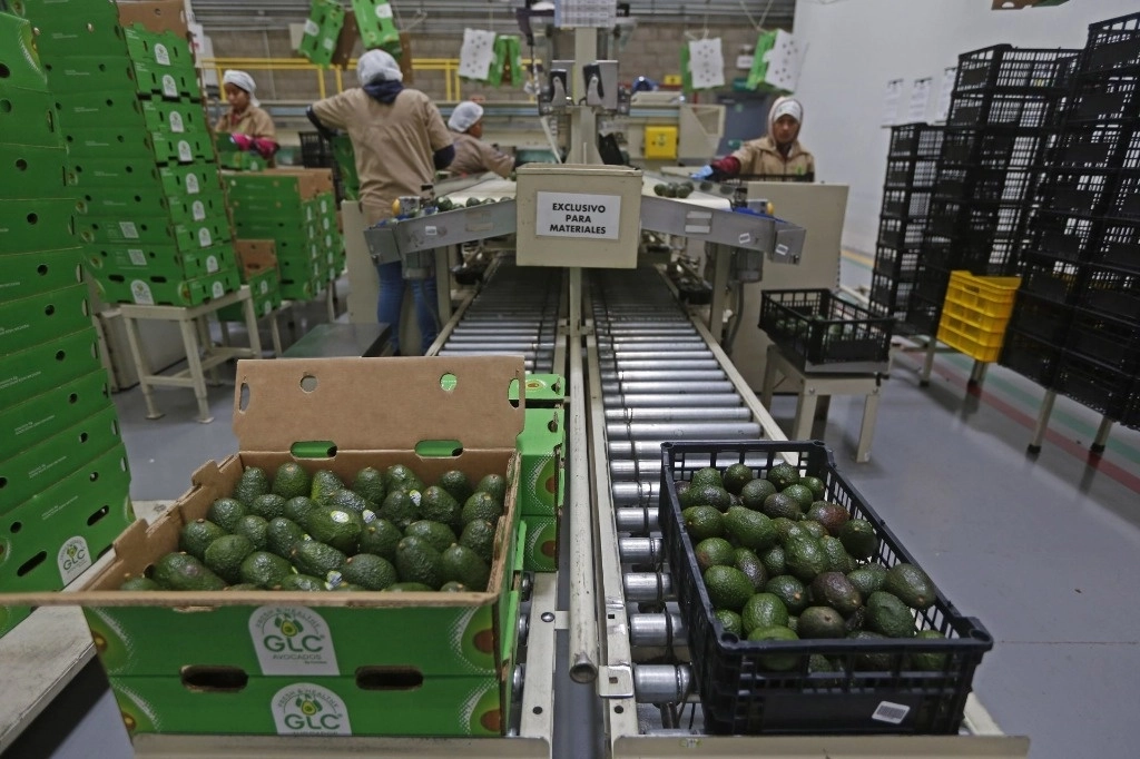 Los quejosos señalaron poca disposición de la empresa para establecer mesas de diálogo y “la inacción del gobierno de  México”, por lo que presentaron una solicitud de queja como parte del Mecanismo Laboral de Respuesta Rápida. Foto Cuartoscuro / archivo 