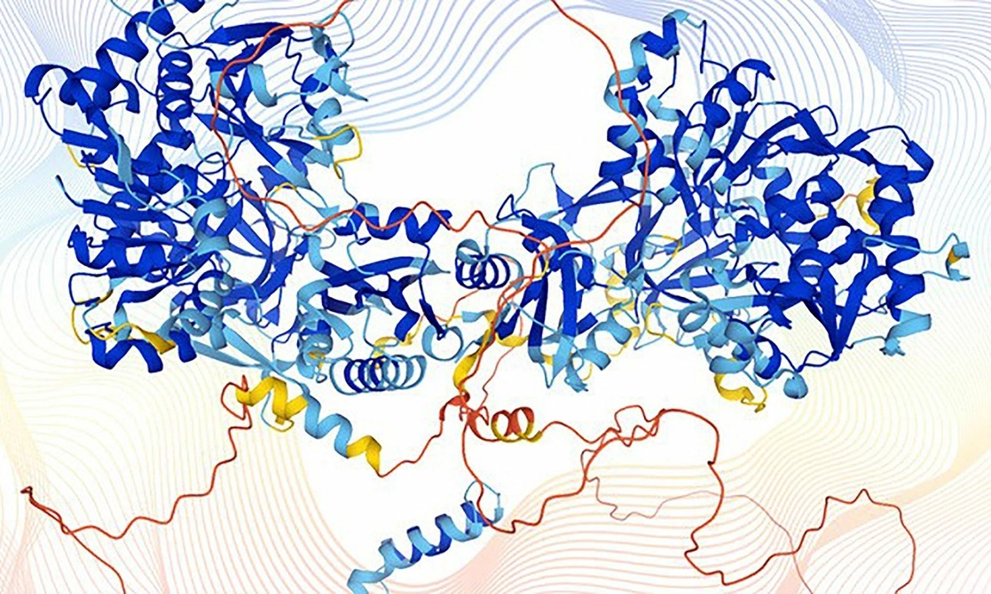 Estructura de una proteína humana modelada por el programa informático AlphaFold. Foto Afp