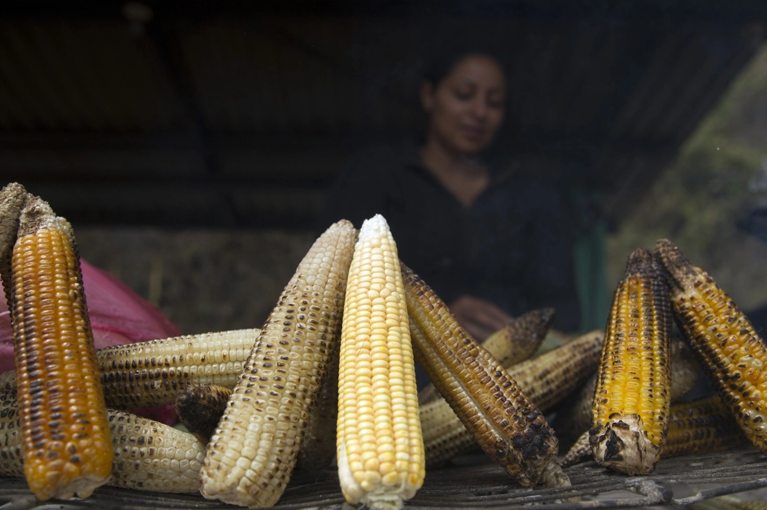 Una mujer prepara elotes para su venta en la comunidad de Quebrada Honda, en el departamento de Francisco Morazán, Honduras. Foto Xinhua / Archivo