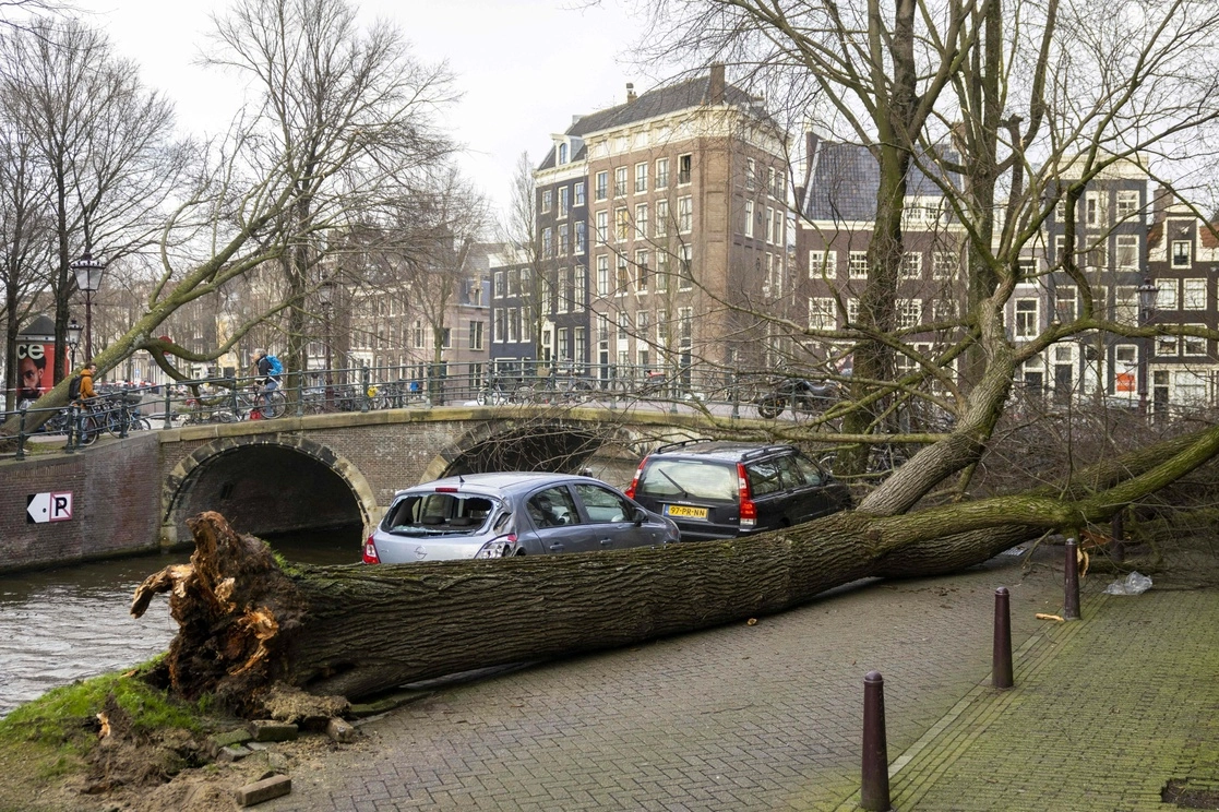 Árboles caídos en Ámsterdam, Holanda, por los fuertes vientos generados por la tormenta ‘Eunice’, el 18 de febrero de 2022. Foto Afp
