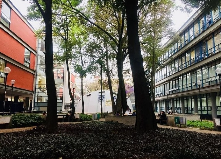 A nivel nacional la UNAM en materia de Derecho y Estudios Jurídicos, se encuentra en el grupo de las mejores doce del orbe. Foto tomada del Instagram de @derechounam / Archivo