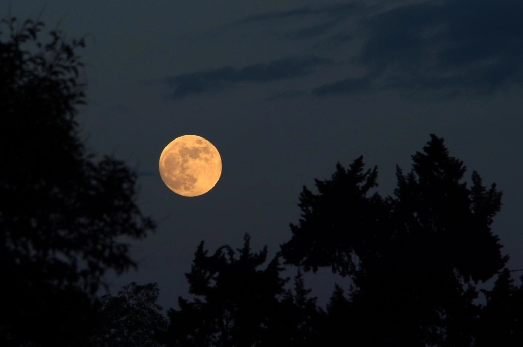 En octubre, las intensas lluvias de la temporada limpian la atmósfera y permiten apreciar en su esplendor a la bella Luna que caracteriza a este mes. Foto tomada del sitio https://www.dgcs.unam.mx/boletin/bdboletin/multimedia/WAV200703/846(5).jpg