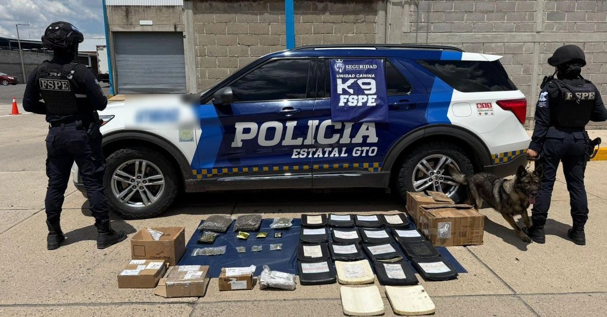 Los paquetes de distintos remitentes serían enviados a las ciudades de León, Irapuato, Pénjamo, Dolores Hidalgo, Guadalajara, Morelia, Aguascalientes y Ciudad de México, detalló. Foto 