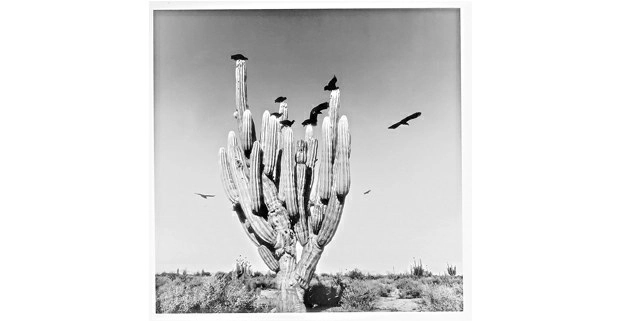 Foto Graciela Iturbide