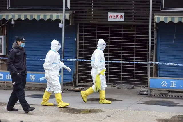Trabajadores sanitarios trasladan en una bolsa a una salamandra que escapó del mercado de comida del mar de Wuhan, China. Foto Ap