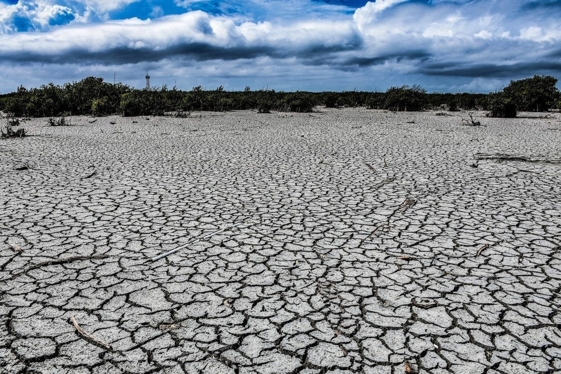 "La adaptación y la mitigación deben verse como dos pilares, pero en la práctica se han dado  más recursos a mitigación" en materia climática, señalaron expertos. Foto Cuartoscuro / Archivo