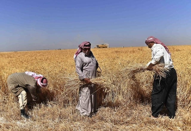 Siria es uno de los países afectados por el recorte alimentario de la ONU. Foto Xinhua