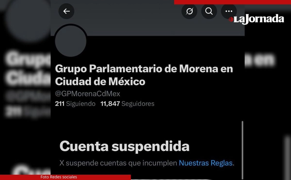 Tras la suspensión de la cuenta, los morenistas detectaron ayer una nueva activación digital en masa para celebrar este hecho. Imagen 