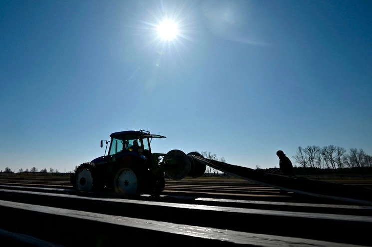El conjunto de empresas dispuso de fondos de su línea de crédito, para afrontar la crisis por en coronavirus. Foto Afp 