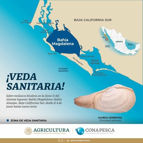 Imagen de archivo de la Conapesca.