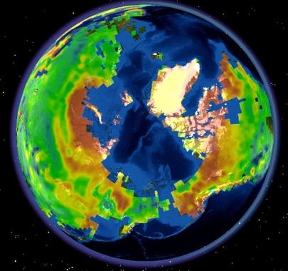 Las mariposas marinas y los ángeles del mar son pterópodos y ejemplo notable de adaptación. Pueden tener conchas delgadas y un pie de caracol en forma de alas que les permiten "volar" a través del agua. Imagen tomada del sitio https://www.atmosfera.unam.mx/