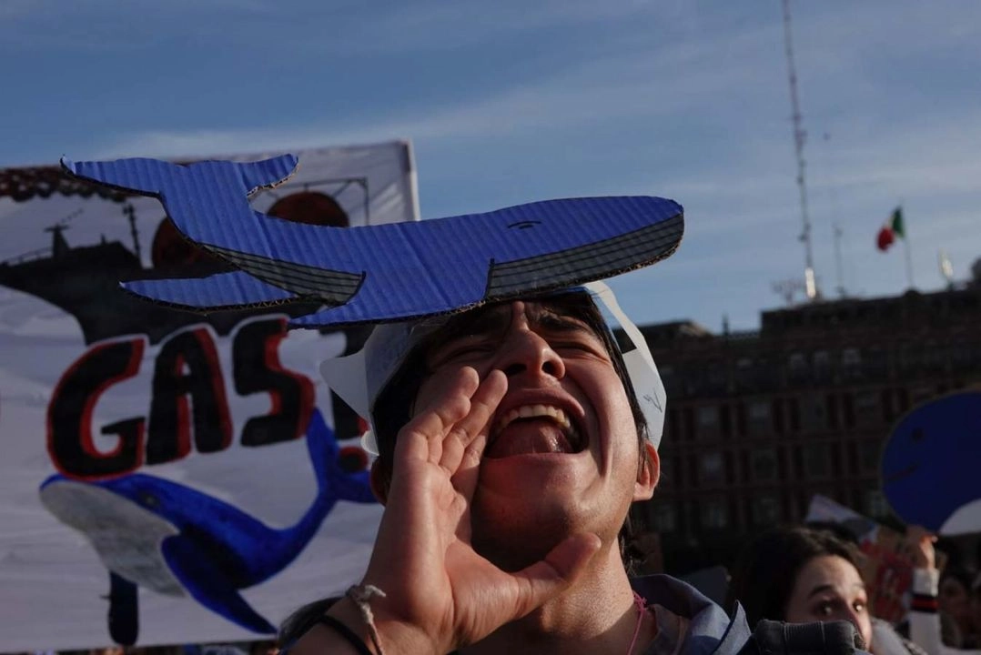 Activistas de la coalición #ballenasogas, durante una manifestaron para exigir justicia para frenar el proyecto Saguaro.