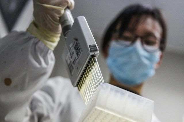Empleada analiza muestras de una vacuna para Covid-19 en un laboratorio de Sinovac Biotech, en Pekín. Foto Xinhua
