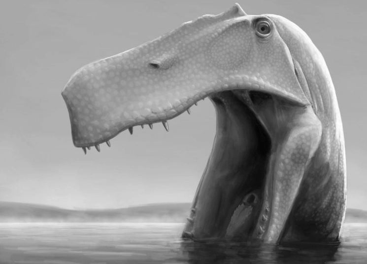 El dinosaurio se alimentaba de presas pequeñas, incluso peces. La imagen es una recreación artística del animal. Foto Olof Moleman/Europa Press