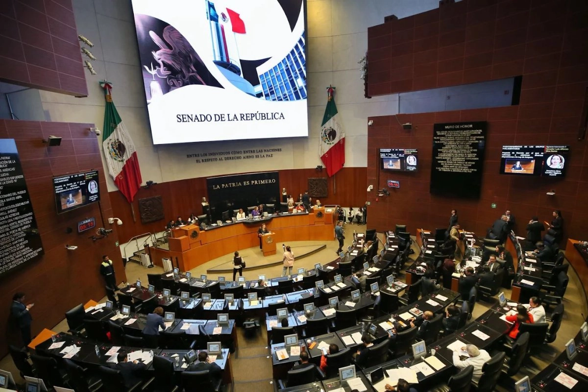 En sesión ordinaria del Senado se realizó la discusión de la Ley del Amparoel 15 de octubre de 2025. Foto

