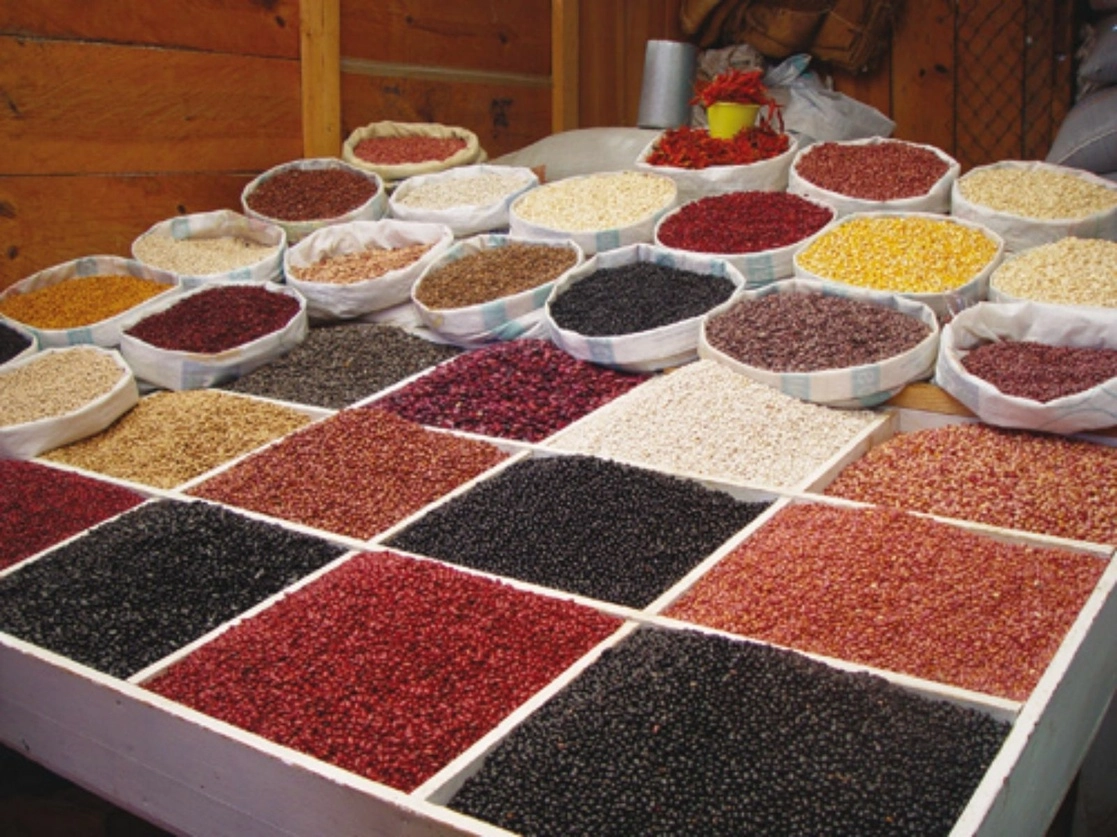 Todavía se importa un tercio de la demanda interna de maíz. Foto Haricots-Chiapas tomada a través del sitio  https://www.jornada.com.mx/2012/10/20/cam-vida.html / Archivo