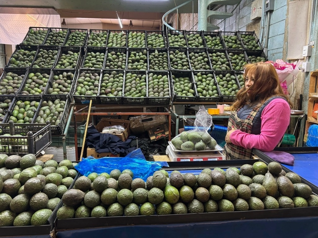 Venta de de aguacate en la Central de abastos, alcaldía Iztapalapa, CDMX. Foto María Luisa Severiano