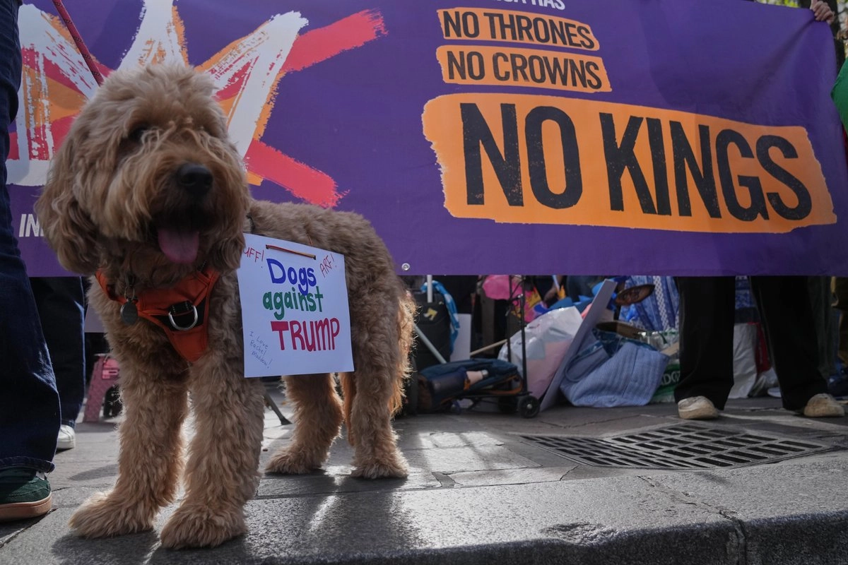 Un perro con un cartel que dice "Perros contra Trump" es visto durante una protesta contra el presidente estadounidense Donald Trump, en París, el 18 de octubre de 2025.