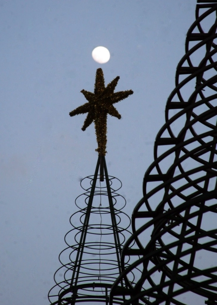 Instalación del árbol de Navidad en el Zócalo de la Ciudad de México, el 12 de diciembre de 2024. Foto Roberto García Rivas 