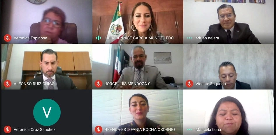 Sesión Extraordinaria del Consejo Estatal de Protección a Personas Defensoras de Derechos Humanos y Periodistas de Guanajuato. Foto @SEGOBGto