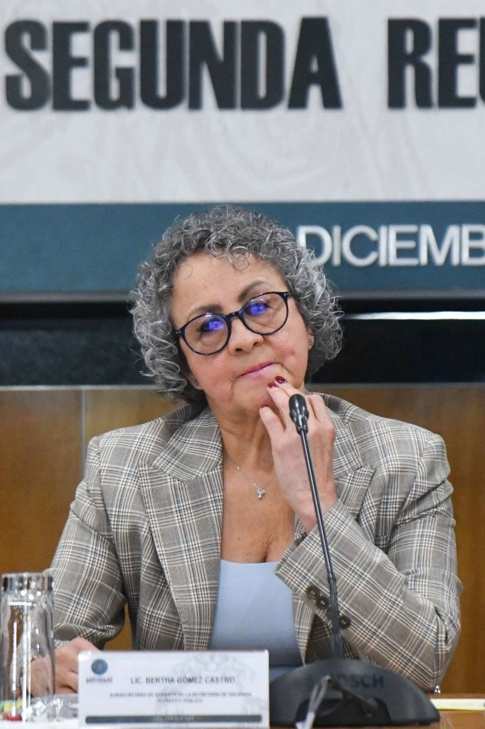 Bertha Gómez Castro, subsecretaria de Egresos de la Secretaría de Hacienda y Crédito Público, durante la segunda reunión ordinaria de la Comisión de Presupuesto y Cuenta Pública de la Cámara de Diputados, el 3 de diciembre de 2024. Foto Cuartoscuro
