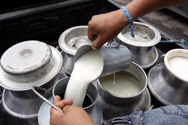 Litros de leche en imagen de archivo. Foto Cuartoscuro