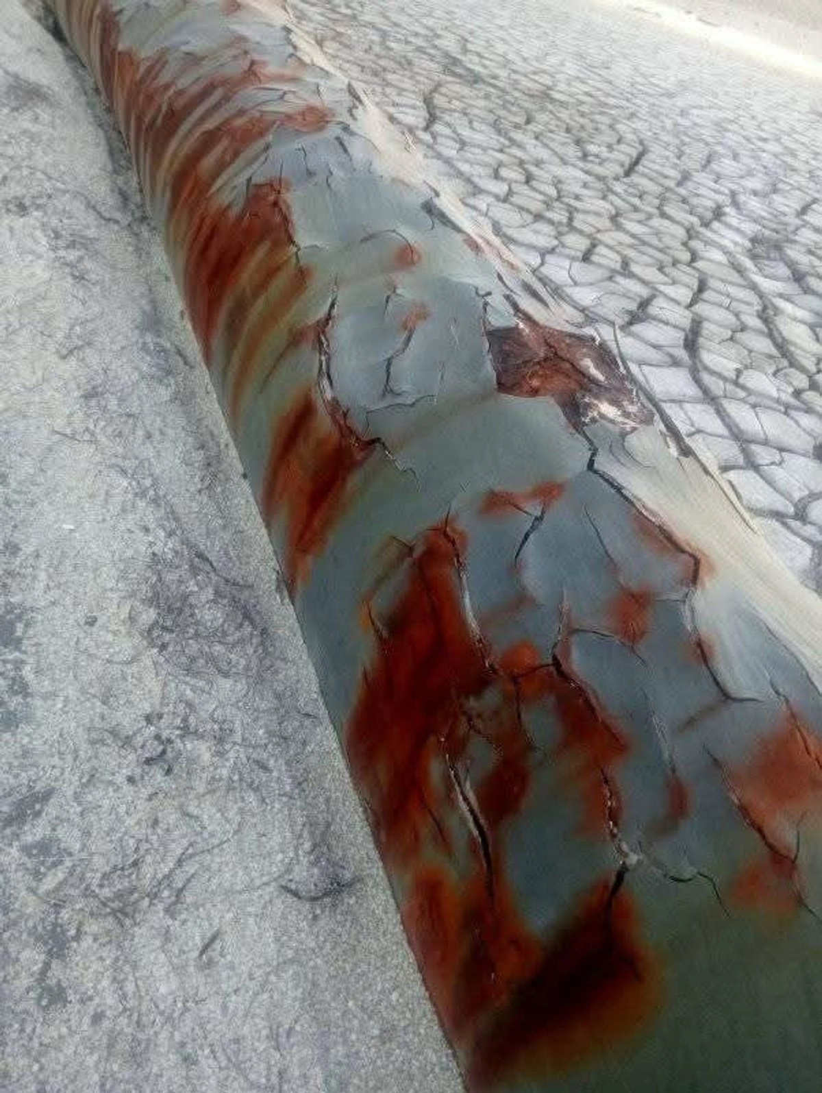 Ducto de Pemex dañado por la fuga de gas en el Centro de Procesos y Transporte Atasta. Foto
