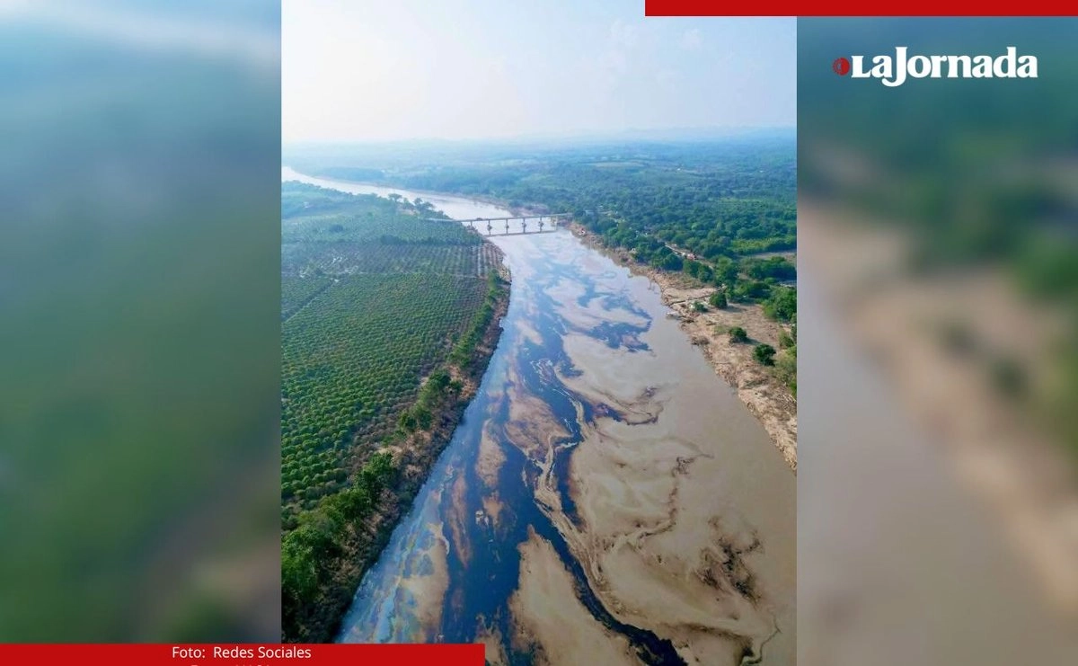 El derrame de hidrocarburos fue detectado en inmediaciones de la localidad de Citlaltépetl, Veracruz, aproximadamente a 50 kilómetros de Tuxpan. Foto 