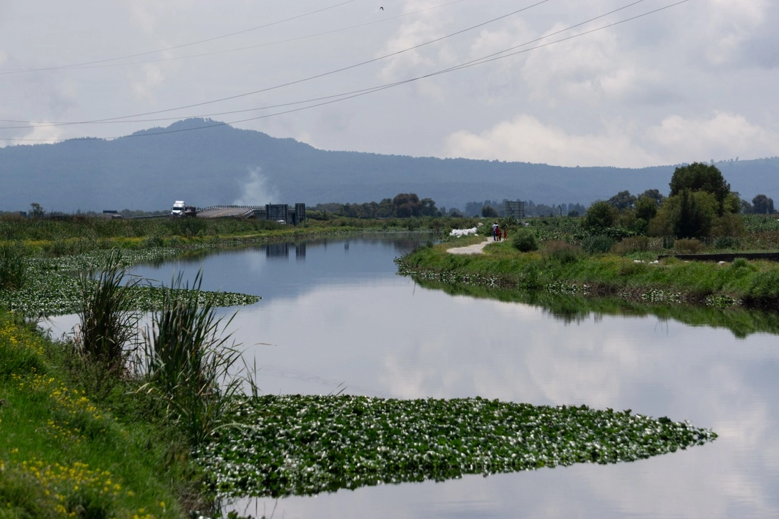 Hay poco tiempo para salvar lo que queda de este humedal, lo cual repercutirá en el clima y la disponibilidad de agua de la región entera, dice el geógrafo Paulino Osorio. Foto Pablo Ramos