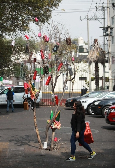 En las calles Acoxpa y Hacienda Totoapan de la colonia Prados Coapa Segunda Sección, vecinos colocaron en una coladera, a la que fue robada la tapa tres meses antes, un árbol con motivos navideños, en protesta porque la alcaldía Tlalpan de la Ciudad de México no resolvió el problema. Foto Alfredo Domínguez