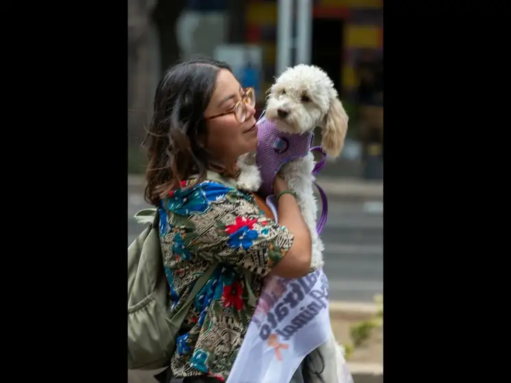 Este tipo de comunicación no es frecuente entre los canes, por lo que se cree que los perros desarrollaron esta preferencia durante la domesticación. Foto Pablo Ramos