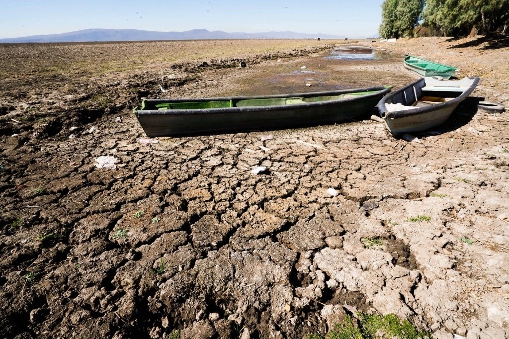 Aspecto de la parte oriente del lago de Cuitzeo, en Michoacán, la cual está seca, lo que ha dejado sin trabajo a los pescadores de la región, quienes se han visto obligados a dedicarse a otras actividades. Foto Cuartoscuro 