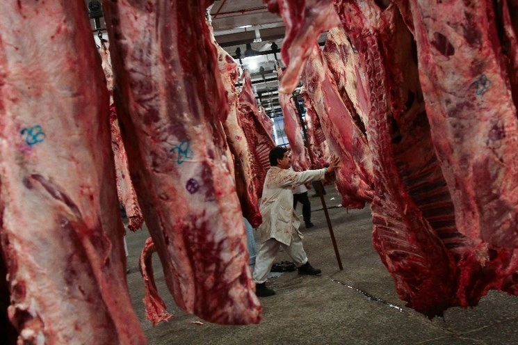 Las asociaciones representantes del sector cárnico en México, Estados Unidos y Canadá, se comprometieron a abastecer de carne a todas las familias de la región. Foto Cuartoscuro / Archivo