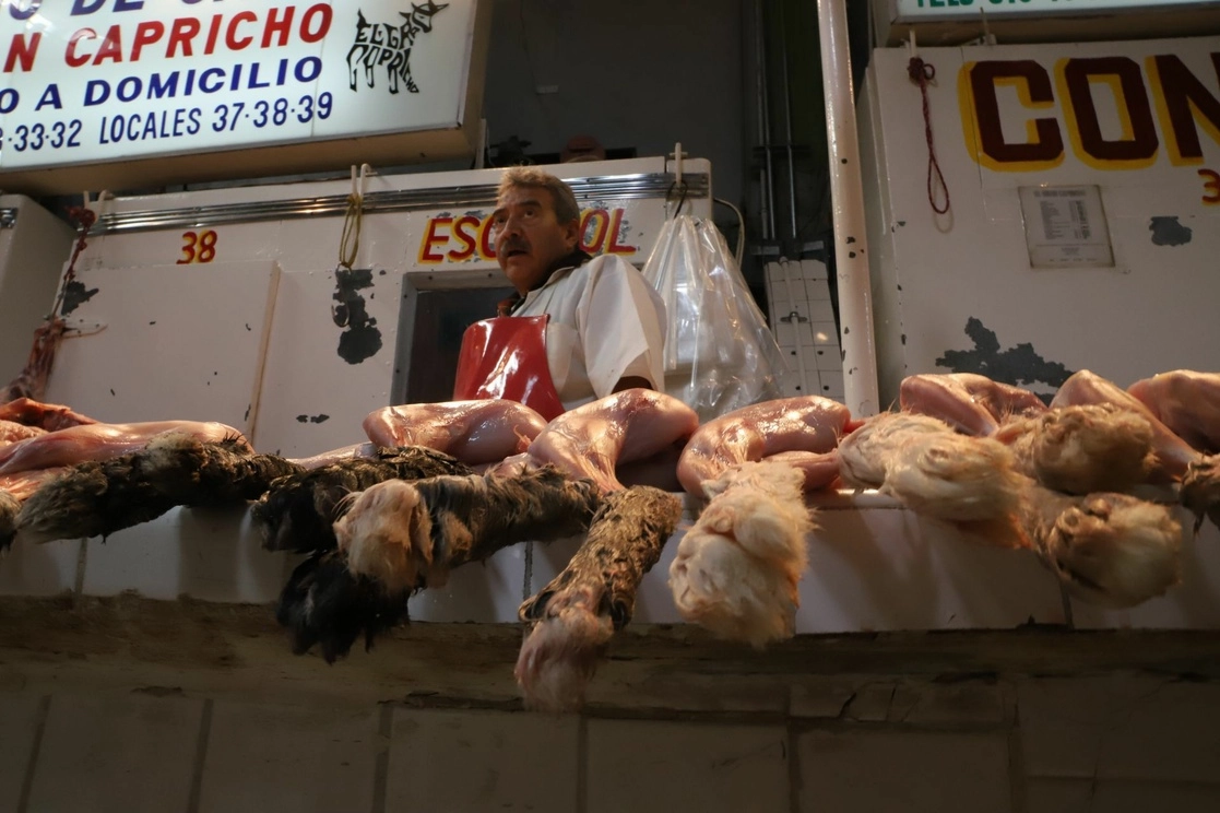 En el mercado San Juan venden, entre otro tipo de carnes, la de conejo. Foto Cuartoscuro / Archivo