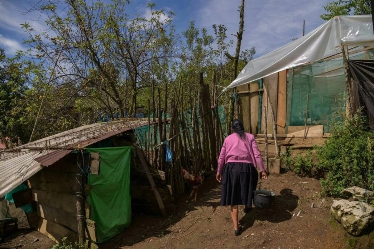 En la imagen de archivo, una campesina en el pueblo de San Andrés Larráinzar, Chiapas. Foto 