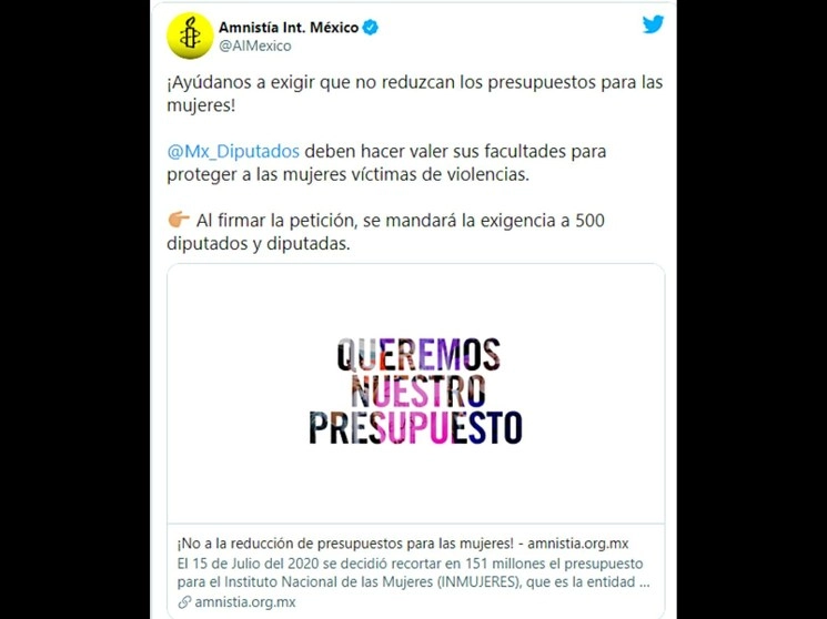 Amnistía Internacional le solicitó a las y los diputados que citen a comparecer al titular de la SHCP, Arturo Herrera, para que “rinda cuentas” sobre los recortes presupuestarios ordenados por el Ejecutivo federal a los programas dirigidos a la atención de la igualdad entre mujeres y hombres. Imagen tomada del Twitter de @AIMexico