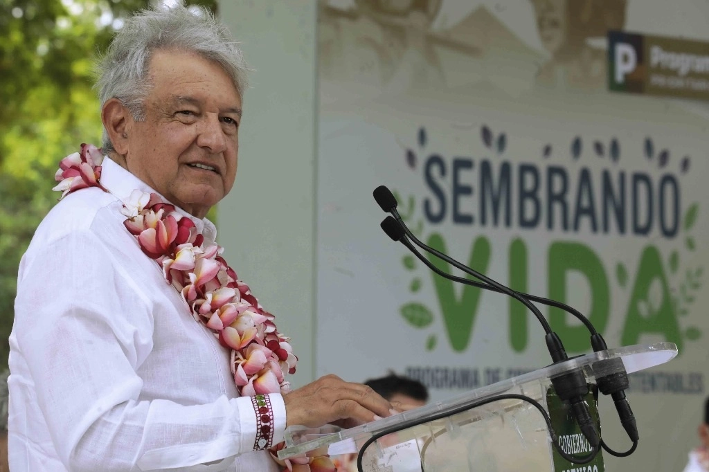 El presidente Andrés Manuel López Obrador durante el evento “Sembrando Vida” en la comunidad de Aprendizaje Campesino (CAC ) “El Mexicano”, en San Pedro Tapanatepec, Oaxaca. Foto cortesía Presidencia
