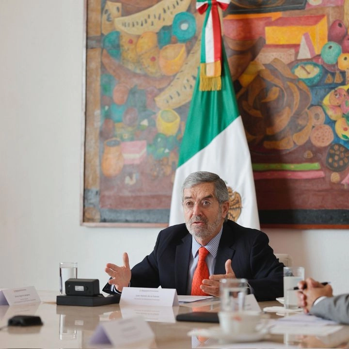 El canciller Juan Ramón de la Fuente durante la reunión virtual. Foto 