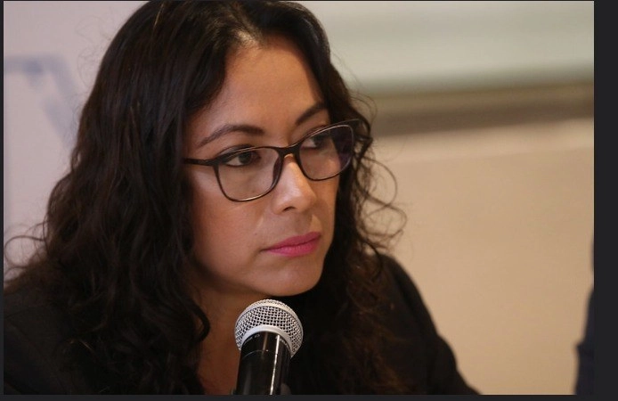 Claudia Guzmán, presidenta de la Comisión de Desarrollo Democrático de la Coparmex capitalina, en conferencia de prensa vía Internet. Foto cortesía de la Confederación