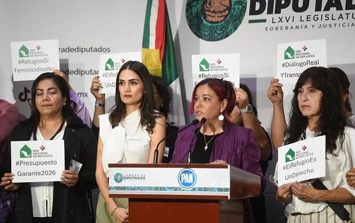 En conferencia de prensa en la Cámara de Diputados, Wendy Figueroa, directora de la RNR expuso que el monto global para ese rubro es de 856 millones 782 mil pesos, pero “no existe desglose que garantice cuánto se destinará realmente a Refugios y Centros de Atención Externa”. Foto 