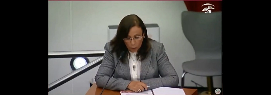 La secretaria de Energía, Rocío Nahle. Foto tomada del canal del Congreso/ Archivo
